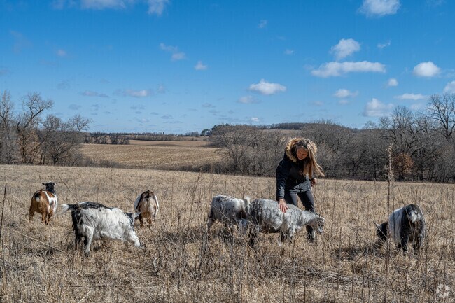Locals head to Sunrise Farm of Wisconsin in Warren to walk goats and take in the views.