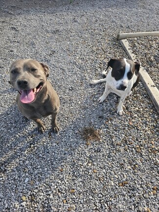 127 E Park Ave Unit A, Gallatin, TN 37066