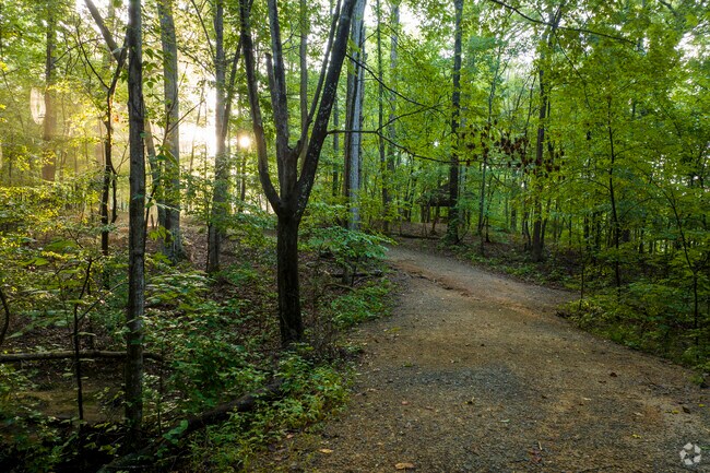 Silverwood locals can enjoy a serene hike through the trails of Reedy Creek Nature Preserve.