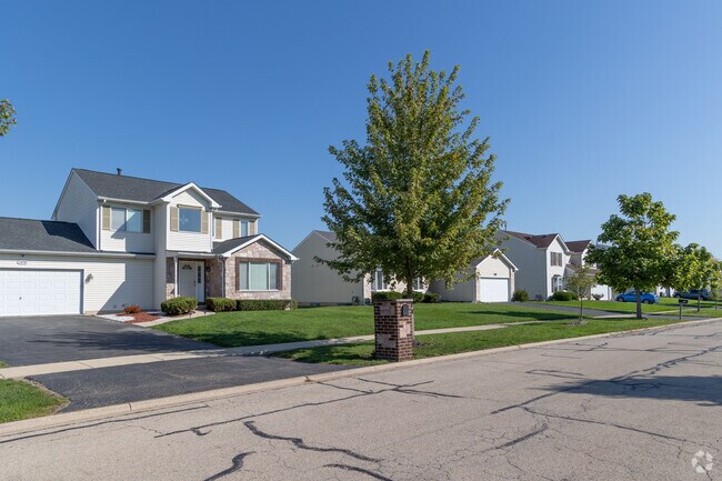 A beautiful row of homes showcasing popular home styles in the Lily Cache neighborhood.
