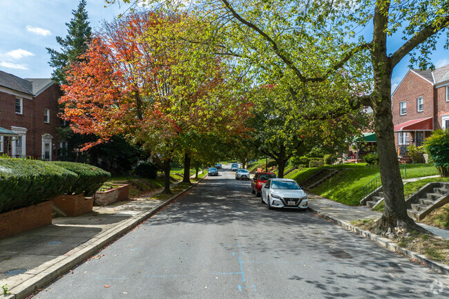 Enjoy the beautiful trees overhead when walking the sidewalk in Burleith-Leighton.