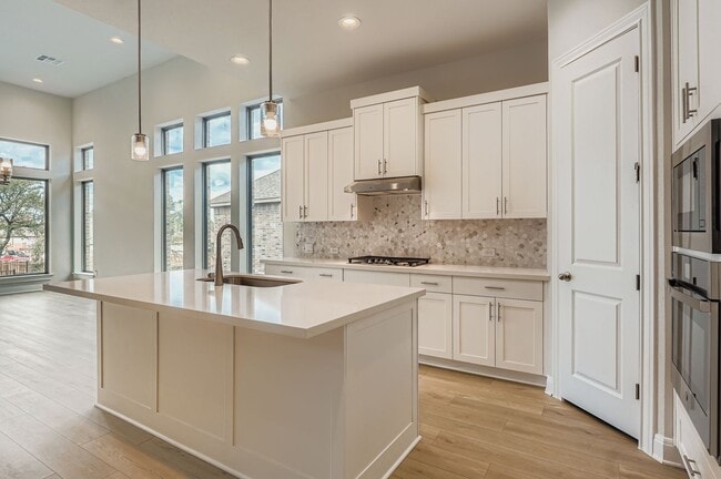 310 Prickly Poppy Loop, Kyle, TX 78640 - photo 4