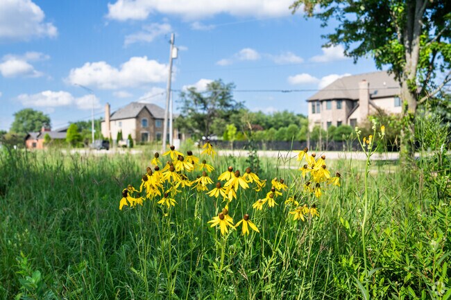 Nature is never far off in Ranch View.