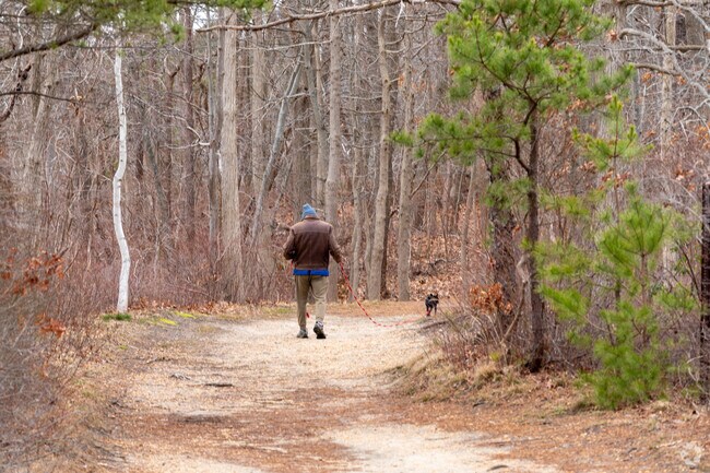 There is plenty of room to walk your dog at Cheesequake State Park
