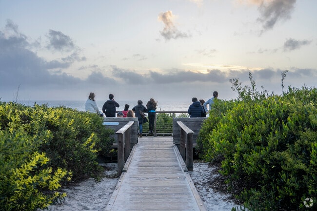 Tourists enjoying the view of the sunset in Carmel.