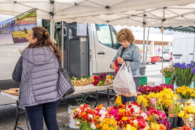 The Downtown Farmers Market takes place every Thursday at Plaza Park.