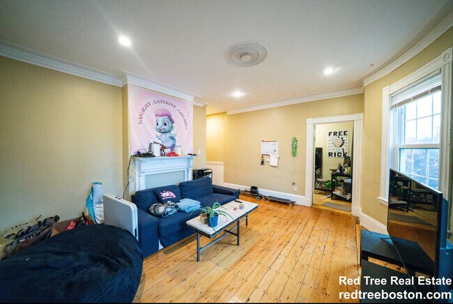 135 St Alphonsus St unit 2, Boston, MA 02120 - photo 3