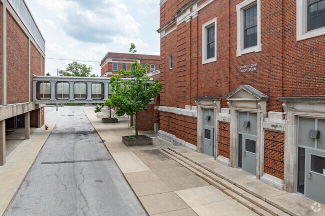 Students can participate in a variety of athletic programs at Collinwood High School.