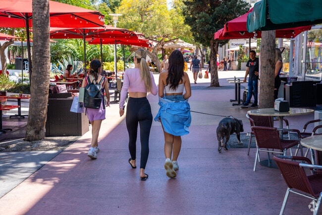 People walking their dogs along the sidewalk outside of Lincoln Road Mall in Flamingo.