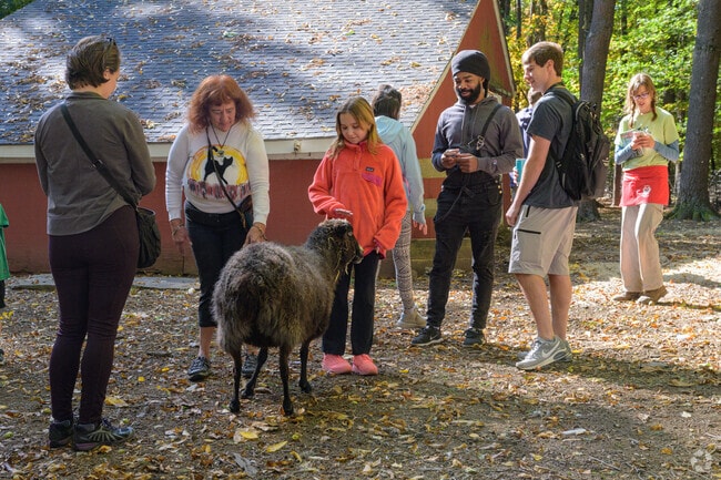 Donker Farm Festival in West Tatnuck