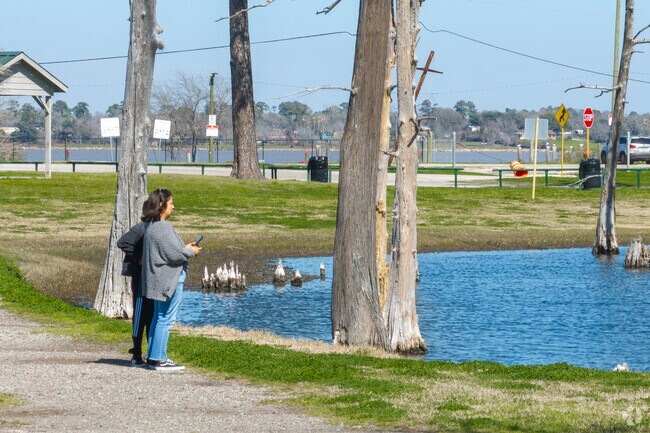 Meadowbrook Park in Channelview delights visitors who feed the ducks, connecting with nature.