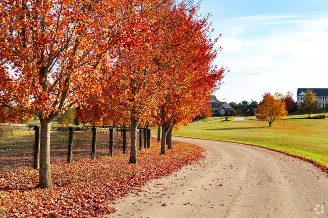 Paynes Depot pops with Autumn colors in communities like Fishers Mill Landing.