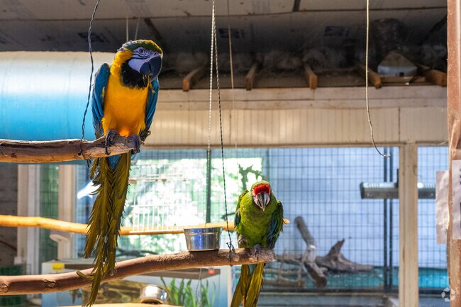 Deming School children enjoy chatting with parakeets at Atlantis Aquatic Gardens.