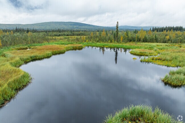 Enjoy the greenery at Goldstream Public Use Area in Farmers Loop.