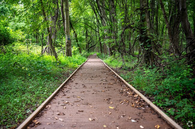 Rancocas State Park in Westampton has miles of trails for peaceful, serene personal time.
