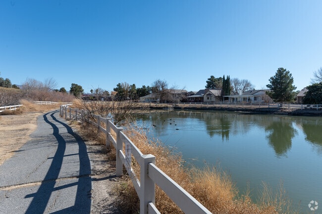 Over 176 varieties of birds call Discovery Park in Pahrump home.