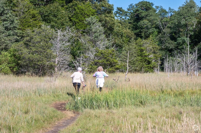 Orleans’ Kent’s Point Conservation Area features wooded paths and views for relaxing strolls.