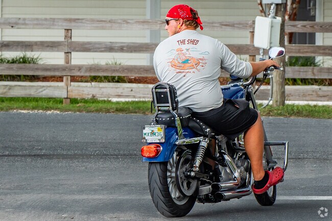 Get in the wind and enjoy a ride along the tree canopy covered streets in Homosassa.