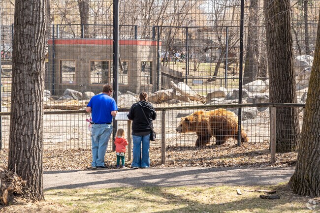 A brown bear walks past a family visiting the Dakota Zoo near the Park Hill neighborhood.