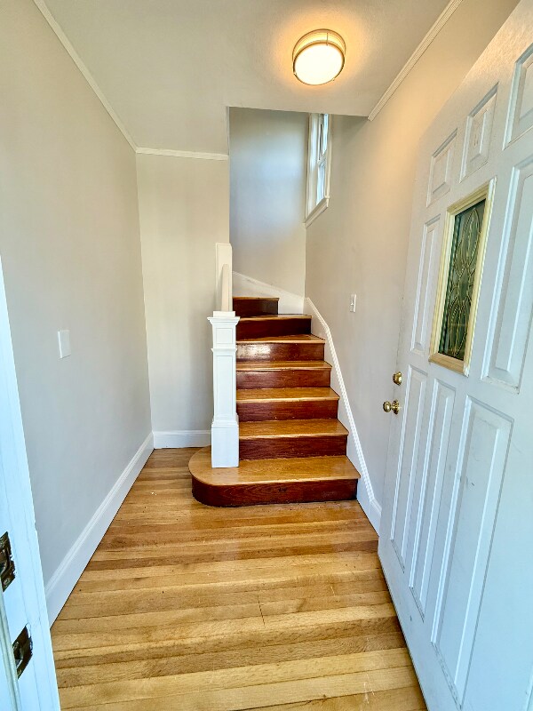 35-37 Lindale Ave unit 2, Dedham, MA 02026 - photo 5