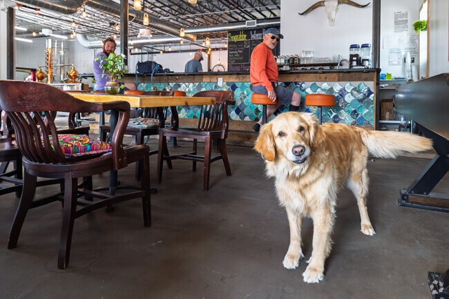 Enjoy time with friends and bring your dog to Salida Distillery.