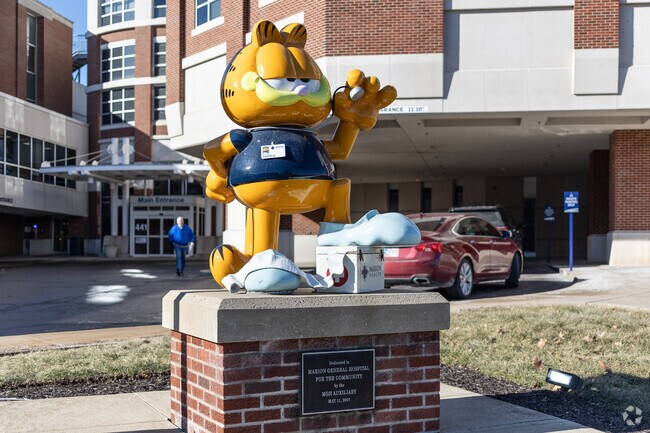 Garfield is the official mascot of Marion Health on the edge of Euclid Triangle.