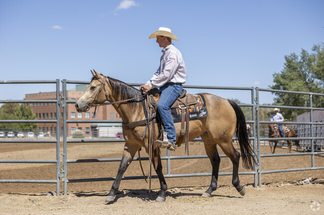 Dive into cowboy culture at Prescott’s Equifest, near Chino Valley.