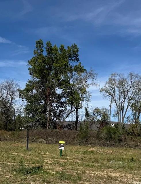 3735 Overlook Ct, Akron, OH 44333 - photo 2