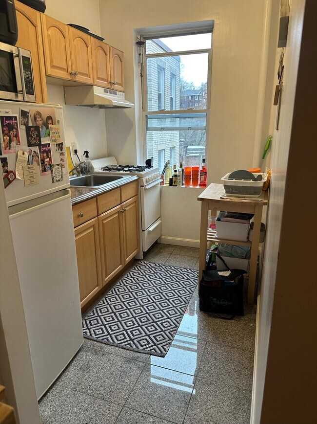 120 Brainerd Rd unit 1, Allston, MA 02134 - photo 7