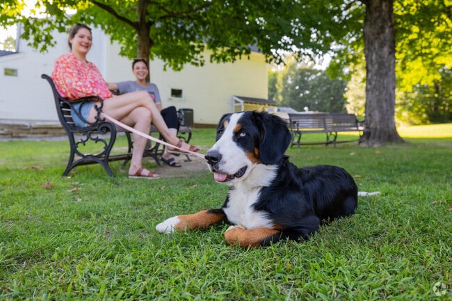 Henniker Town Park in Henniker is a great place to bring your pets for a day of relaxing fun.