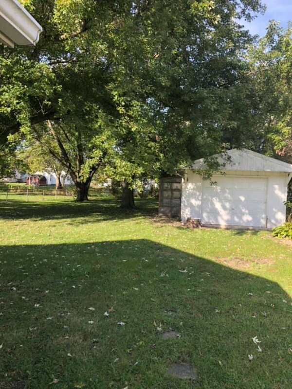 423 N Emmett St, Virden, IL 62690 - photo 3