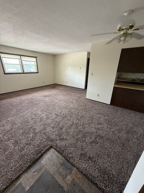 555 Roddy Rd Unit C-2, Salem, IL 62881