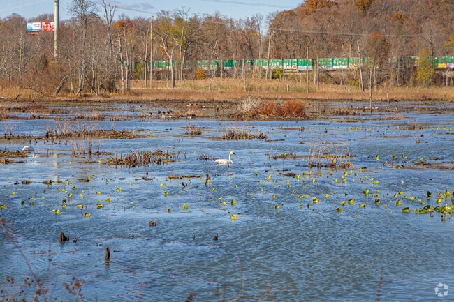 Abingdon is adjacent to the Chesapeake Bay making for marshy areas.