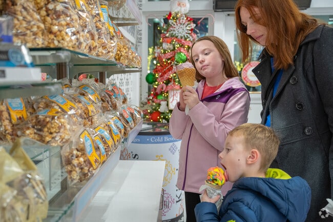 Indulge in a delightful sweet treat as you stroll through the streets of Downtown Gainesville, where charming shops and bustling cafes beckon with irresistible aromas and tempting confections.