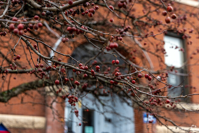 A detail of a tree in front of the John K Tarbox Elementary School in Lawrence, MA.