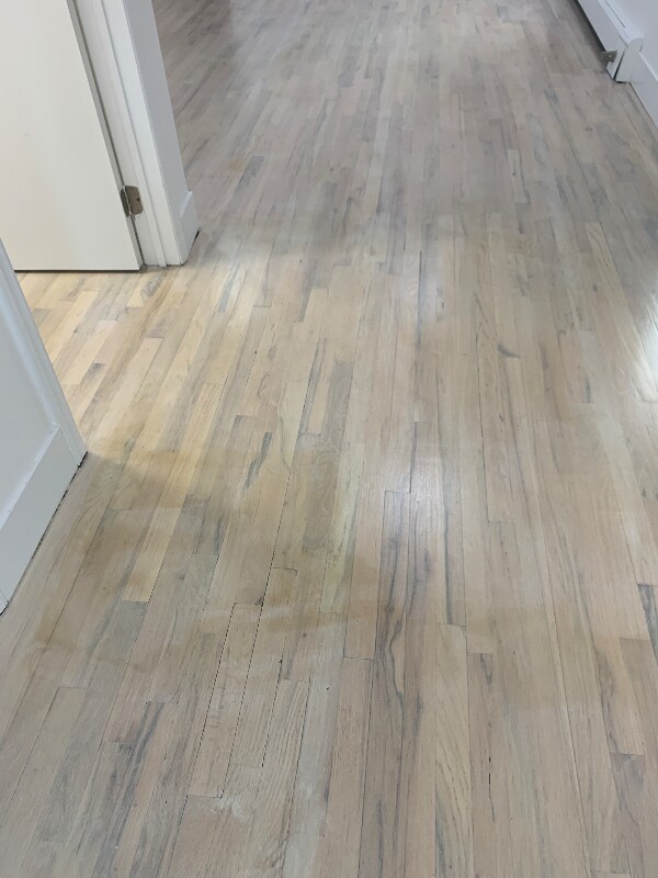 768 Saratoga Ave, Brooklyn, NY 11212 - photo 5