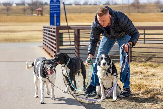 Eastlake Village is a very dog friendly neighborhood with plenty of paved walking trails nearby.