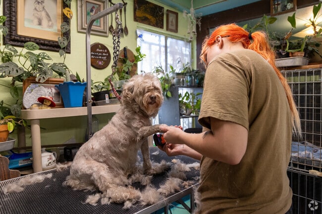 Pets are treated like family at Ruthie's Bath and Brush in Saint David.