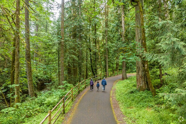 A Walking Path in Hidden Falls Nature Park in Rock Creek Neighborhood.