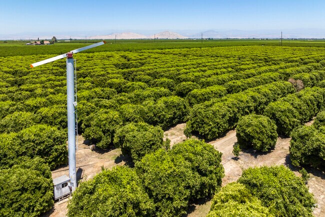 Farming is the number one economic activity in the Parlier area.