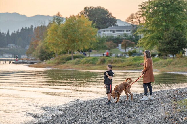Walk the shores of Lions Park at sunset in Sheridan Park WA.