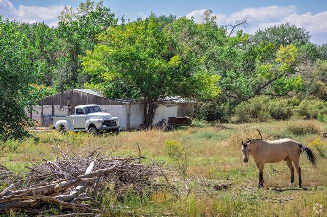 The Palisade Area is a rural community with several farms nearby.