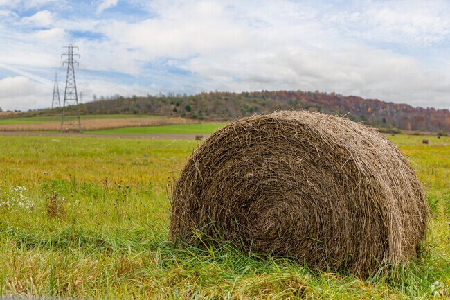 Redbank Township is a picturesque town for those looking to get away from the hustle and bustle.