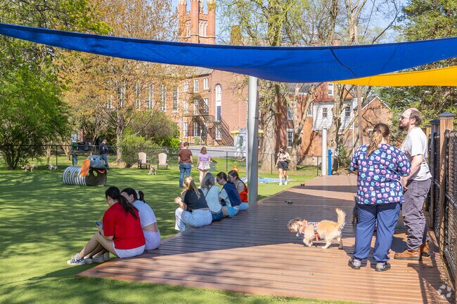 College Park's Beau's Dream Dog Park is always abuzz with people and their furry friends.