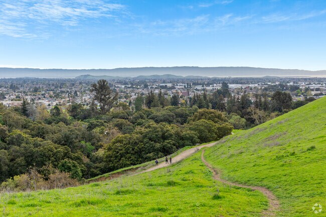 Dry Creek Parks offer breathtaking views of Hayward and the bay from Fairway Park.