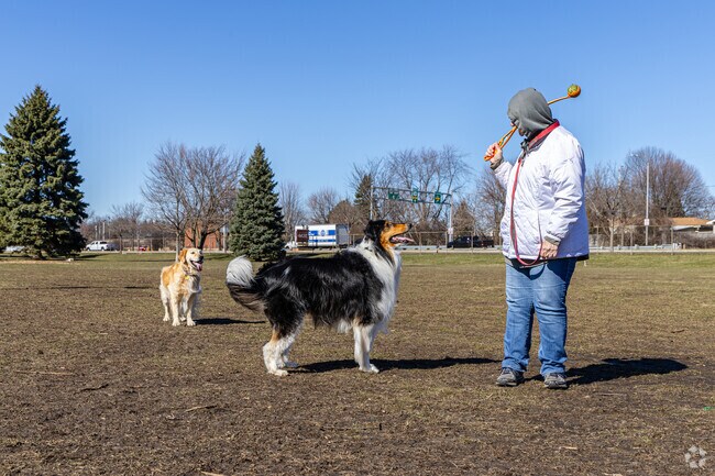 Wolffs Town locals enjoy Racine Quarry Dog Park's open fields and amenities.