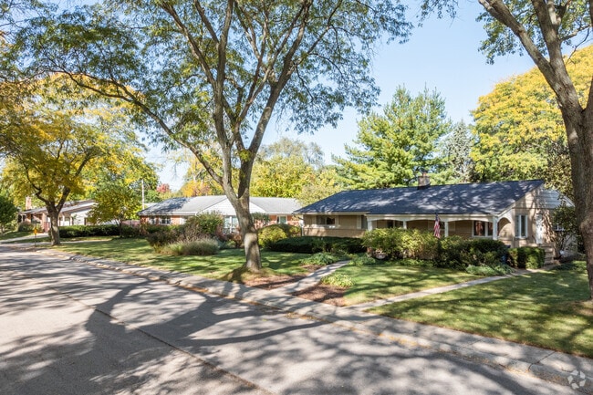 A Central Street neighborhood is well shaded from mature trees.