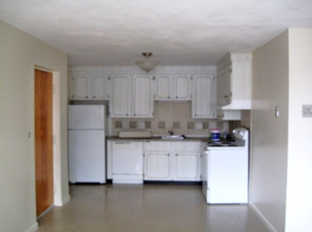 166 Lexington St unit 1, Auburndale, MA 02466 - photo 2