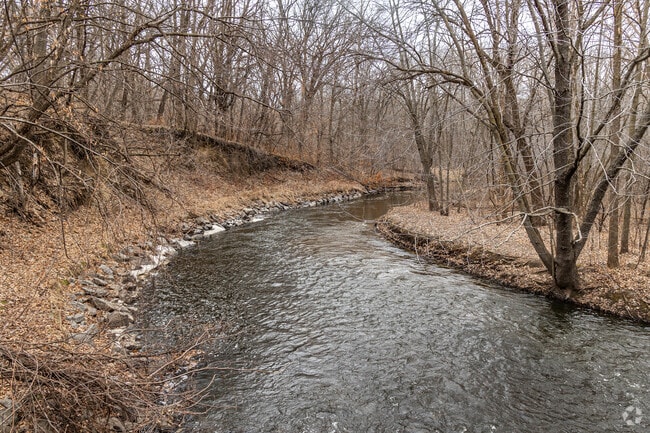 Rice Creek meanders through Locke County Park.
