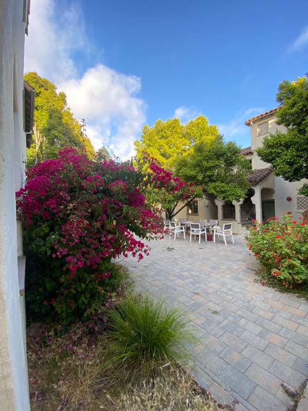 1701 Le Roy Ave unit 6, Berkeley, CA 94709 - photo 2